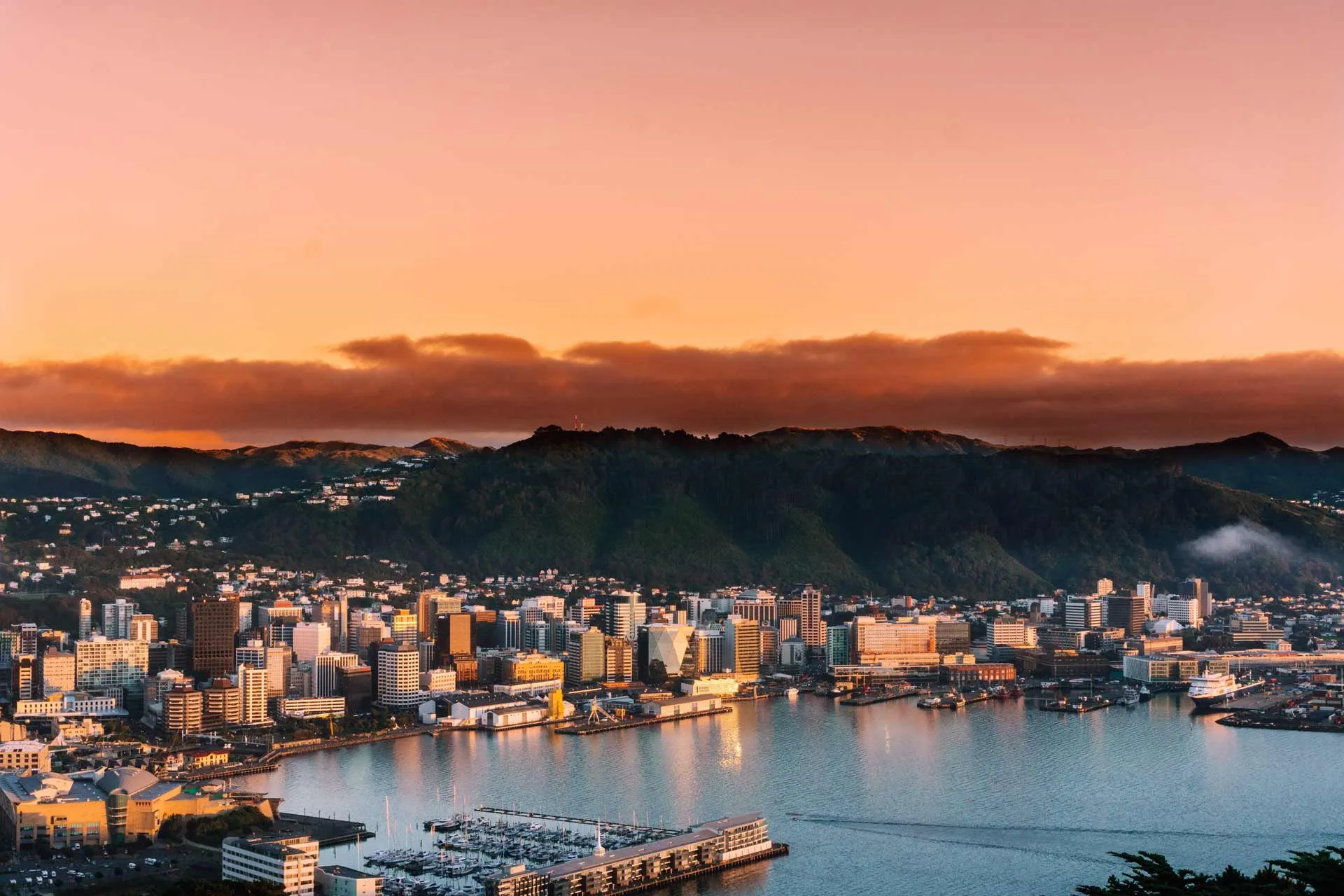 Wellington harbour at sunset